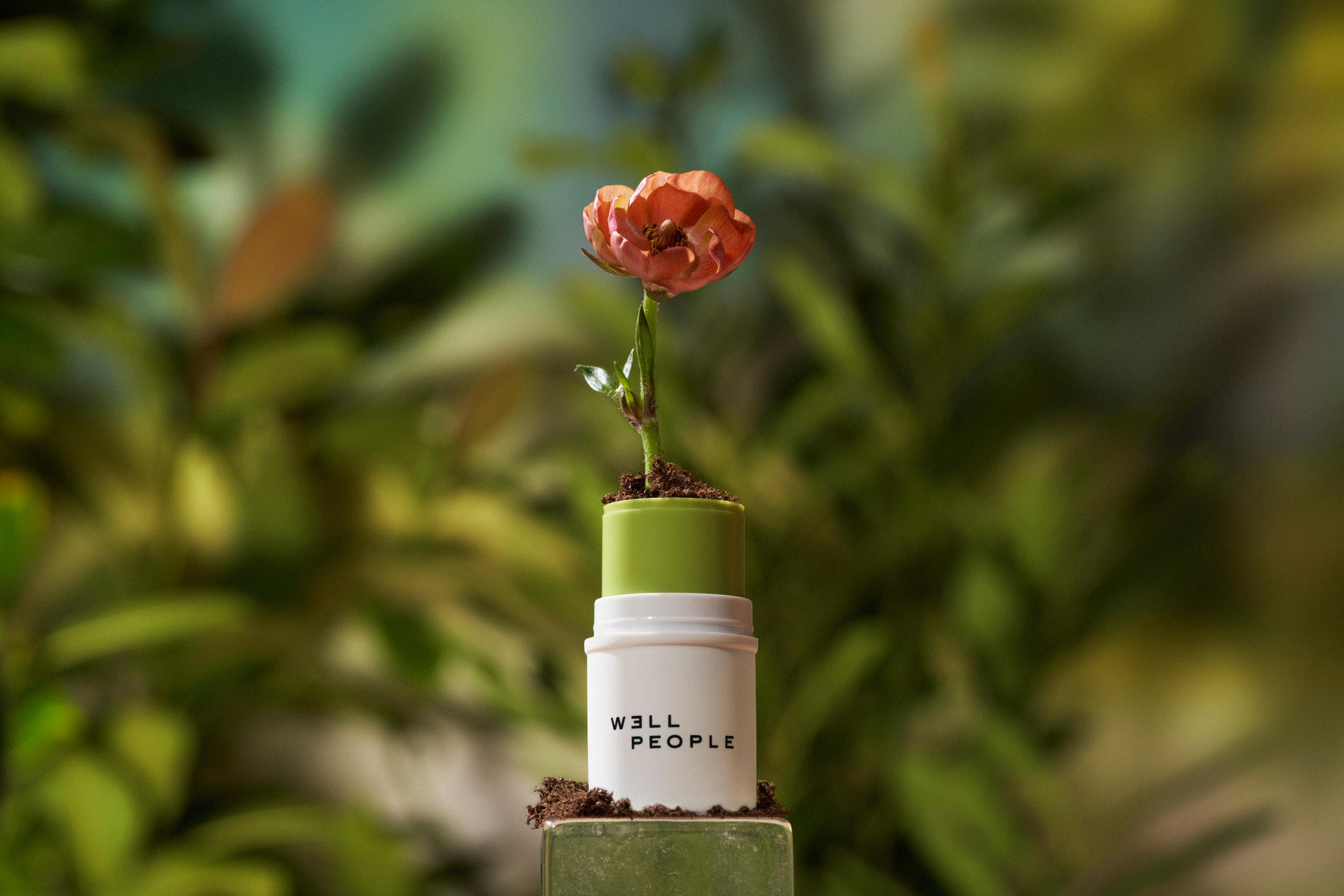 a flower growing from a well people product container